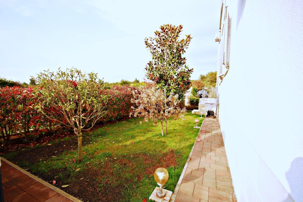 Holiday Home Drago زادار المظهر الخارجي الصورة